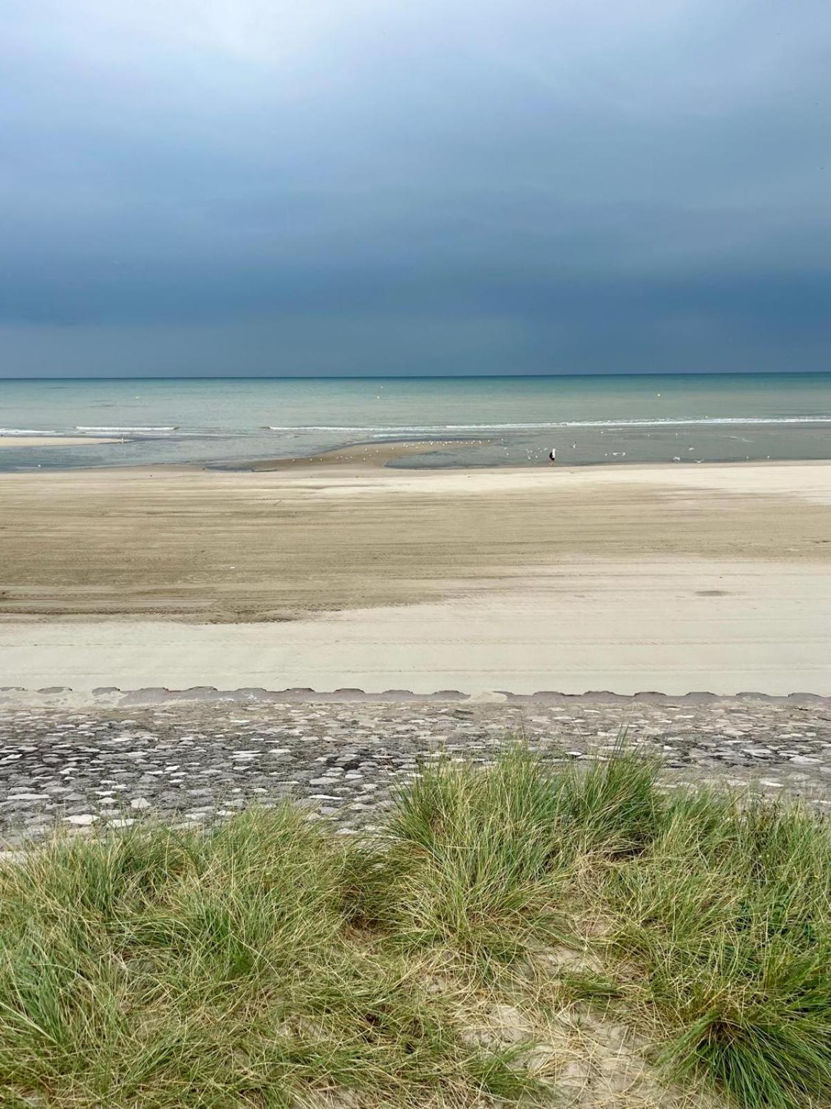 L Oree De La Pinede Hardelot Plage A 800 Metres De La Mer Sous Les Pins Экстерьер фото