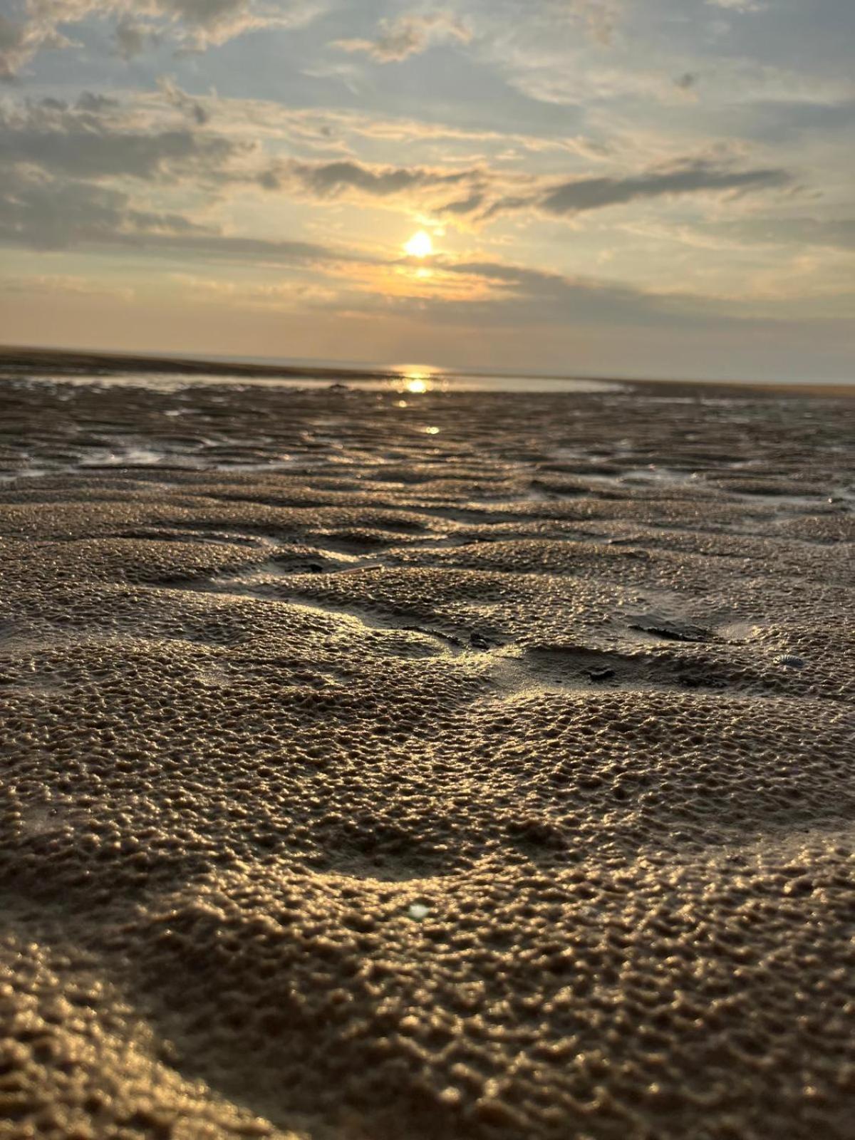 L Oree De La Pinede Hardelot Plage A 800 Metres De La Mer Sous Les Pins Экстерьер фото